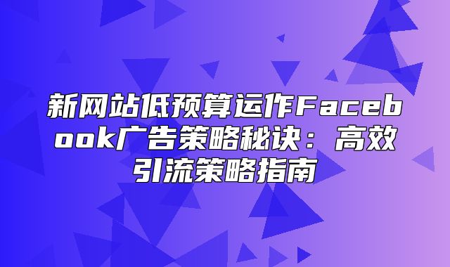 新网站低预算运作Facebook广告策略秘诀：高效引流策略指南