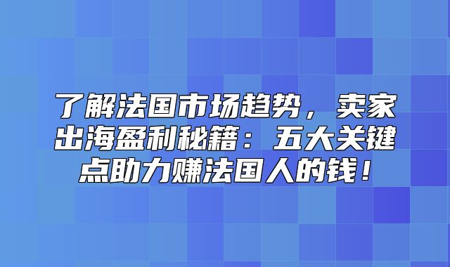 了解法国市场趋势，卖家出海盈利秘籍：五大关键点助力赚法国人的钱！
