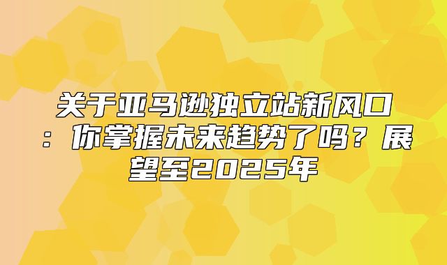关于亚马逊独立站新风口：你掌握未来趋势了吗？展望至2025年