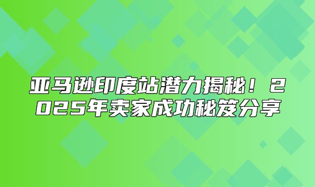 亚马逊印度站潜力揭秘！2025年卖家成功秘笈分享