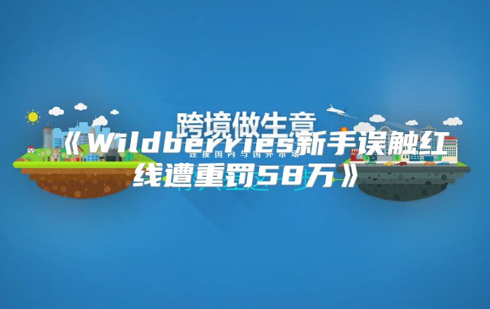 Wildberries新手误触红线遭重罚58万