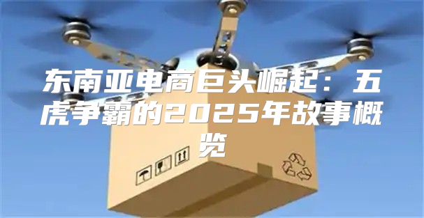 东南亚电商巨头崛起：五虎争霸的2025年故事概览
