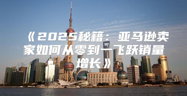 2025秘籍：亚马逊卖家如何从零到一飞跃销量增长