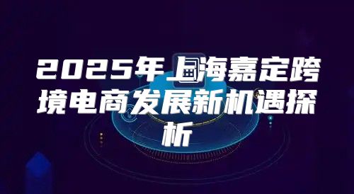 2025年上海嘉定跨境电商发展新机遇探析