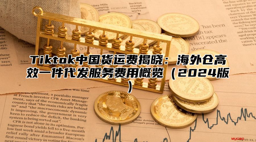 Tiktok中国货运费揭晓：海外仓高效一件代发服务费用概览2025版