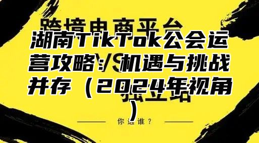 湖南TikTok公会运营攻略：机遇与挑战并存2025年视角