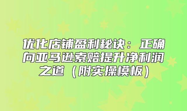 优化店铺盈利秘诀：正确向亚马逊索赔提升净利润之道附实操模板