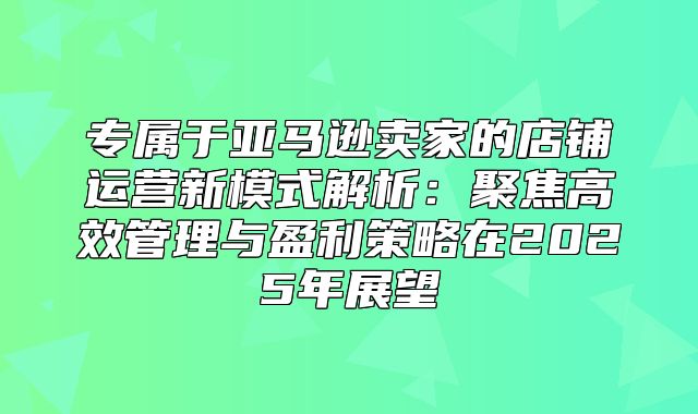专属于亚马逊卖家的店铺运营新模式解析：聚焦高效管理与盈利策略在2025年展望