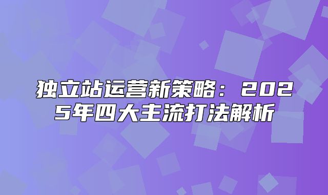 独立站运营新策略：2025年四大主流打法解析