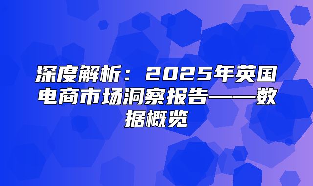深度解析：2025年英国电商市场洞察报告——数据概览