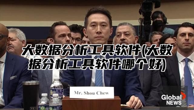 大数据分析工具软件(大数据分析工具软件哪个好)