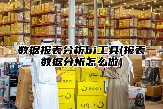 数据报表分析bi工具(报表数据分析怎么做)