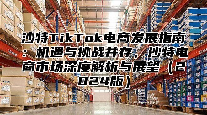 沙特TikTok电商发展指南：机遇与挑战并存，沙特电商市场深度解析与展望2025版