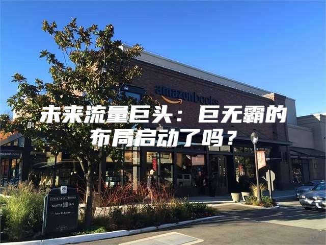 未来流量巨头：巨无霸的布局启动了吗？