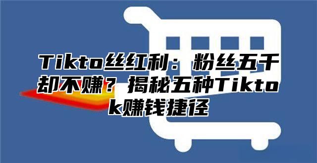 Tikto丝红利：粉丝五千却不赚？揭秘五种Tiktok赚钱捷径