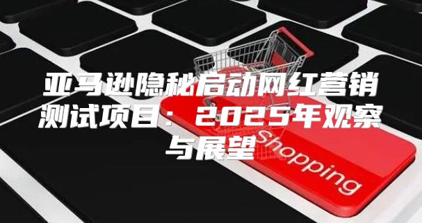 亚马逊隐秘启动网红营销测试项目：2025年观察与展望