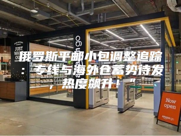 俄罗斯平邮小包调整追踪：专线与海外仓蓄势待发，热度飙升！”