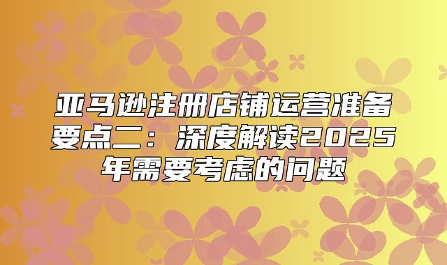 亚马逊注册店铺运营准备要点二：深度解读2025年需要考虑的问题