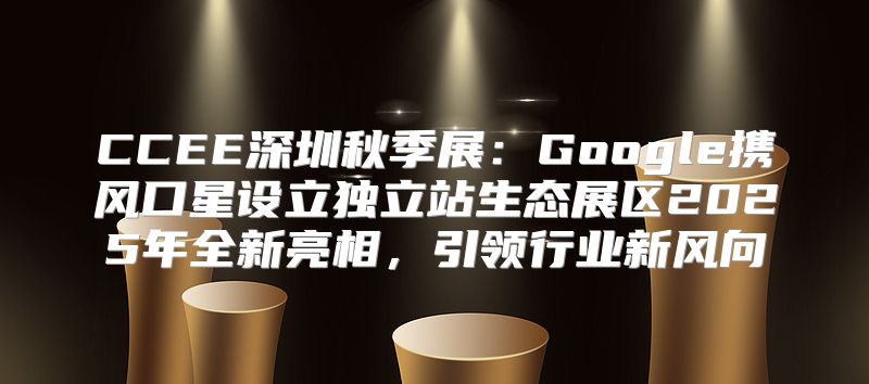 CCEE深圳秋季展：Google携风口星设立独立站生态展区2025年全新亮相，引领行业新风向