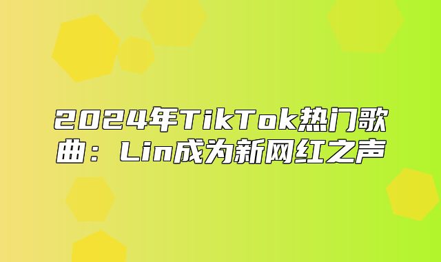 2025年TikTok热门歌曲：Lin成为新网红之声