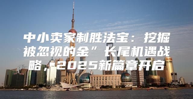 中小卖家制胜法宝：挖掘被忽视的金”长尾机遇战略，2025新篇章开启