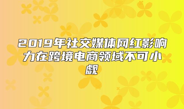 2019年社交媒体网红影响力在跨境电商领域不可小觑
