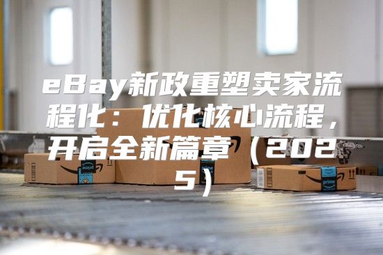 eBay新政重塑卖家流程化：优化核心流程，开启全新篇章2025