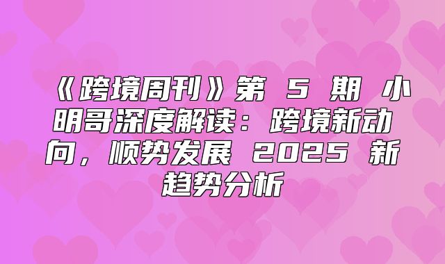 跨境周刊第5期小明哥深度解读：跨境新动向，顺势发展2025新趋势分析