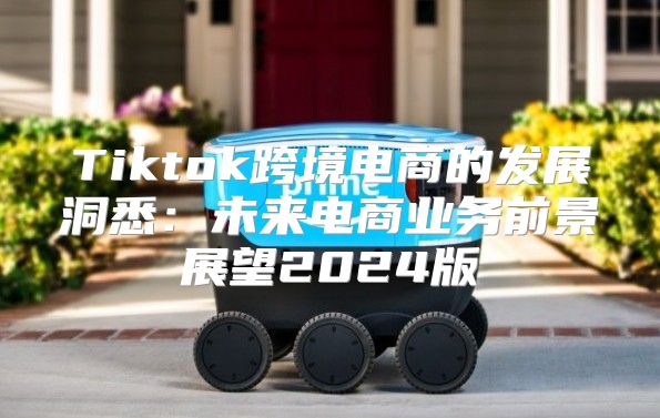 Tiktok跨境电商的发展洞悉：未来电商业务前景展望2025版