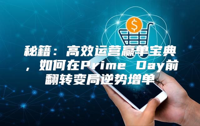 秘籍：高效运营赢单宝典，如何在Prime Day前翻转变局逆势增单