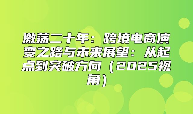 激荡二十年：跨境电商演变之路与未来展望：从起点到突破方向2025视角