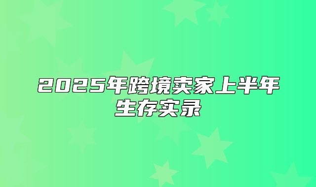 2025年跨境卖家上半年生存实录