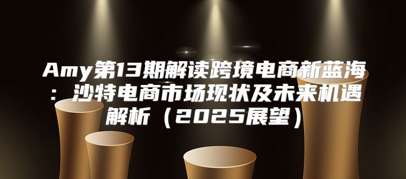 Amy第13期解读跨境电商新蓝海：沙特电商市场现状及未来机遇解析2025展望