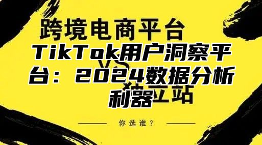 TikTok用户洞察平台：2025数据分析利器
