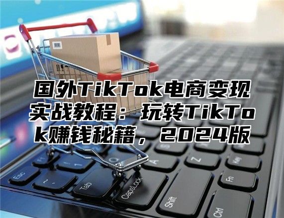 国外TikTok电商变现实战教程：玩转TikTok赚钱秘籍，2025版
