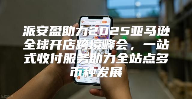 派安盈助力2025亚马逊全球开店跨境峰会，一站式收付服务助力全站点多币种发展