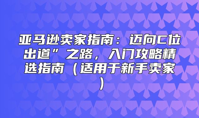 亚马逊卖家指南：迈向C位出道”之路，入门攻略精选指南适用于新手卖家