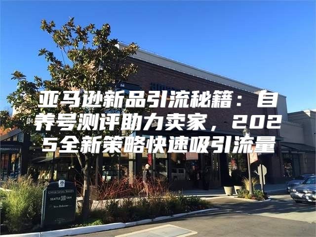 亚马逊新品引流秘籍：自养号测评助力卖家，2025全新策略快速吸引流量