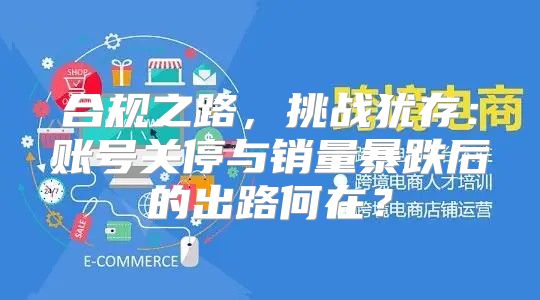 合规之路，挑战犹存：账号关停与销量暴跌后的出路何在？