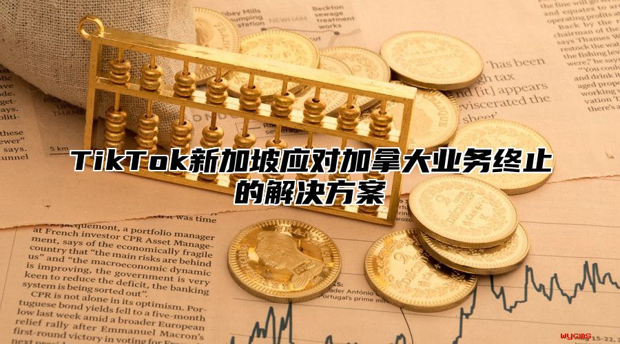 TikTok新加坡应对加拿大业务终止的解决方案