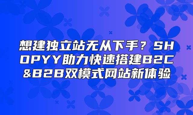 想建独立站无从下手？SHOPYY助力快速搭建B2C&B2B双模式网站新体验
