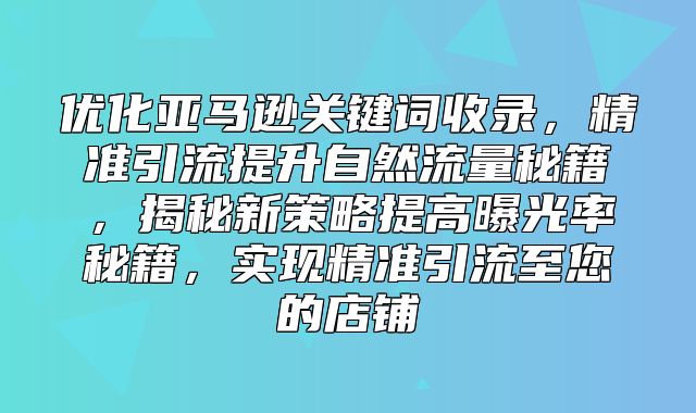 优化亚马逊关键词收录，精准引流提升自然流量秘籍，揭秘新策略提高曝光率秘籍，实现精准引流至您的店铺