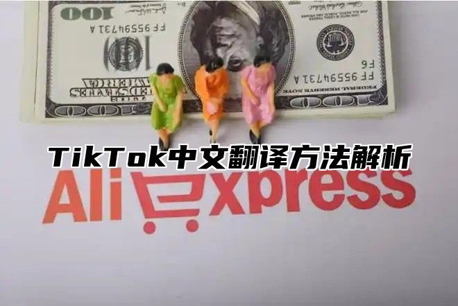 TikTok中文翻译方法解析