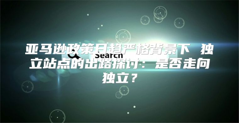 亚马逊政策日趋严格背景下 独立站点的出路探讨：是否走向独立？