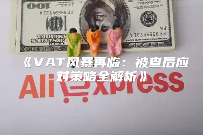 VAT风暴再临：被查后应对策略全解析