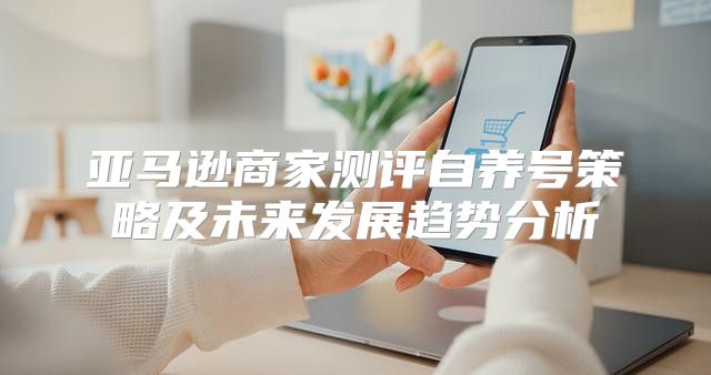 亚马逊商家测评自养号策略及未来发展趋势分析