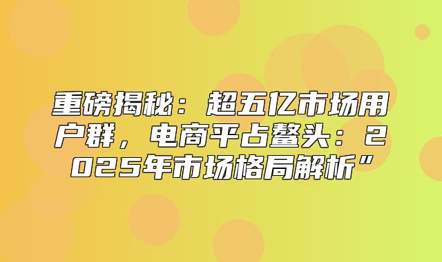 重磅揭秘：超五亿市场用户群，电商平占鳌头：2025年市场格局解析”
