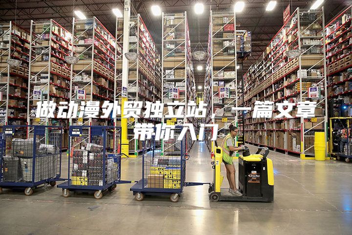做动漫外贸独立站，一篇文章带你入门