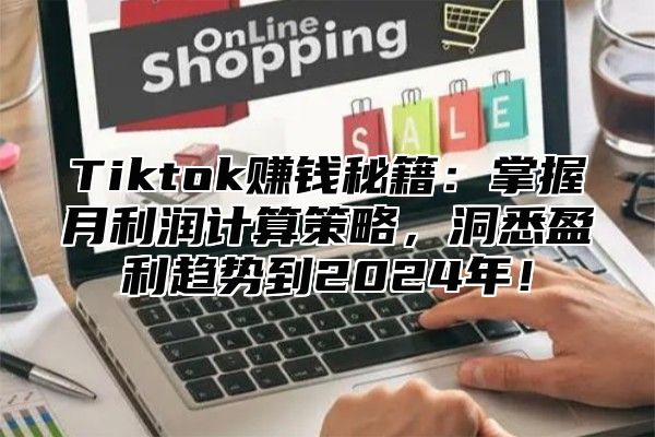 Tiktok赚钱秘籍：掌握月利润计算策略，洞悉盈利趋势到2025年！