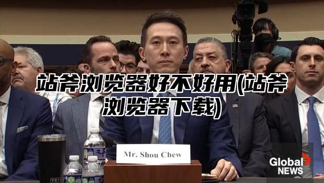 站斧浏览器好不好用(站斧浏览器下载)